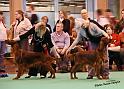 crufts1