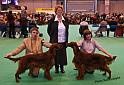 crufts112