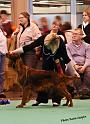 crufts121