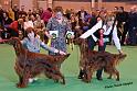 crufts128