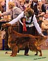 crufts137