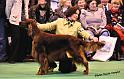 crufts140