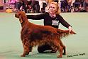 crufts148