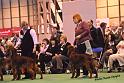 crufts16