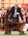 crufts24