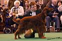 crufts25