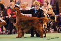 crufts26