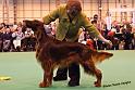 crufts28