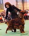 crufts33