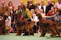 crufts40