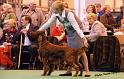 crufts42