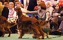 crufts45