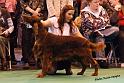 crufts72