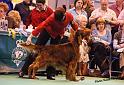 crufts91