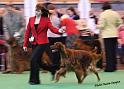 crufts_1005