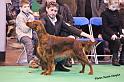 crufts_1039