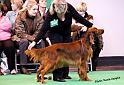 crufts_1045