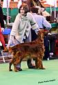 crufts_1046