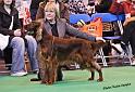 crufts_1048