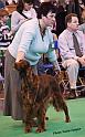 crufts_1052