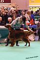 crufts_1068