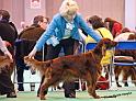 crufts_1083