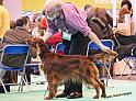 crufts_1086