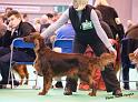 crufts_1088