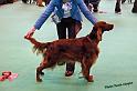 crufts_1101