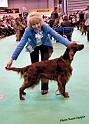 crufts_1106