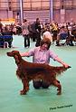 crufts_1108