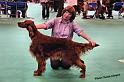 crufts_1109