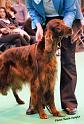 crufts_1114