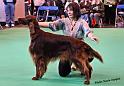 crufts_1143