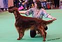 crufts_1148