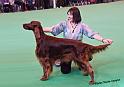 crufts_1153