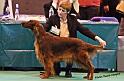 crufts_1173