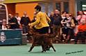 crufts_1177