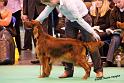 crufts_1182