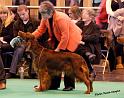 crufts_1184