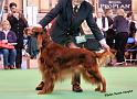 crufts_120