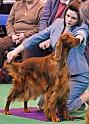 crufts_1201