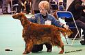 crufts_1213