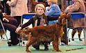 crufts_1220