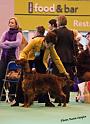 crufts_1229