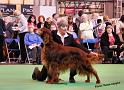 crufts_123