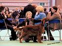 crufts_1230