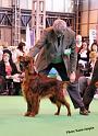 crufts_124