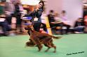 crufts_1245