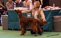 crufts_1256